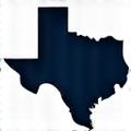 Texas Department of State Health Services (DSHS) Licensed Professional Logo